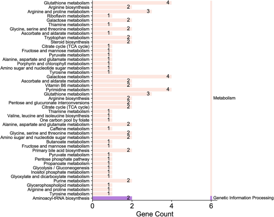 1654008989212086256.png 017.png