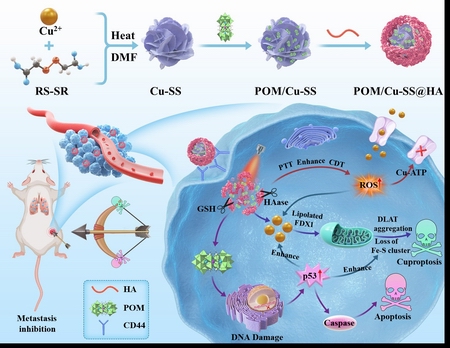 1764577427568004615.jpg 222.jpg